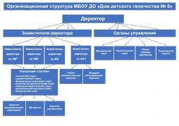 Схема организационной структуры учреждения